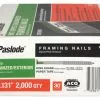 Paslode Framing Nail Steel 3-In 30 (2000-Piece) Hot-Dipped Collated Galvanized 2 Paslode Framing Nail Steel 3-In 30 (2000-Piece) Hot-Dipped Collated Galvanized -Schlage Trade 00300529