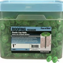 Fas-N-Tite Cap Nail Steel 1-In 12-Gauge (3000-Count) Electro-Galvanized -Schlage Trade 10421902